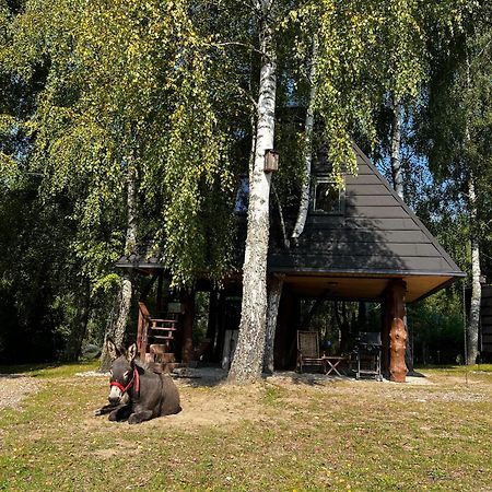 Piramida W Uniesieniu Apartment Borzytuchom Bagian luar foto
